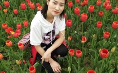 草莓丝瓜秋葵向日葵榴莲苹果